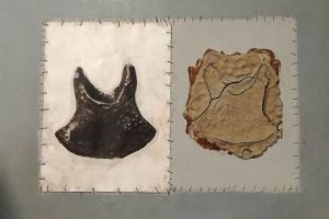 Opere di Claudio Costa