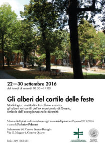 SETTEMBRE 2016 - Gli alberi nel cortile delle feste